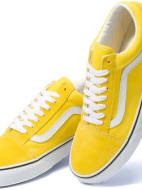 Old skool vans